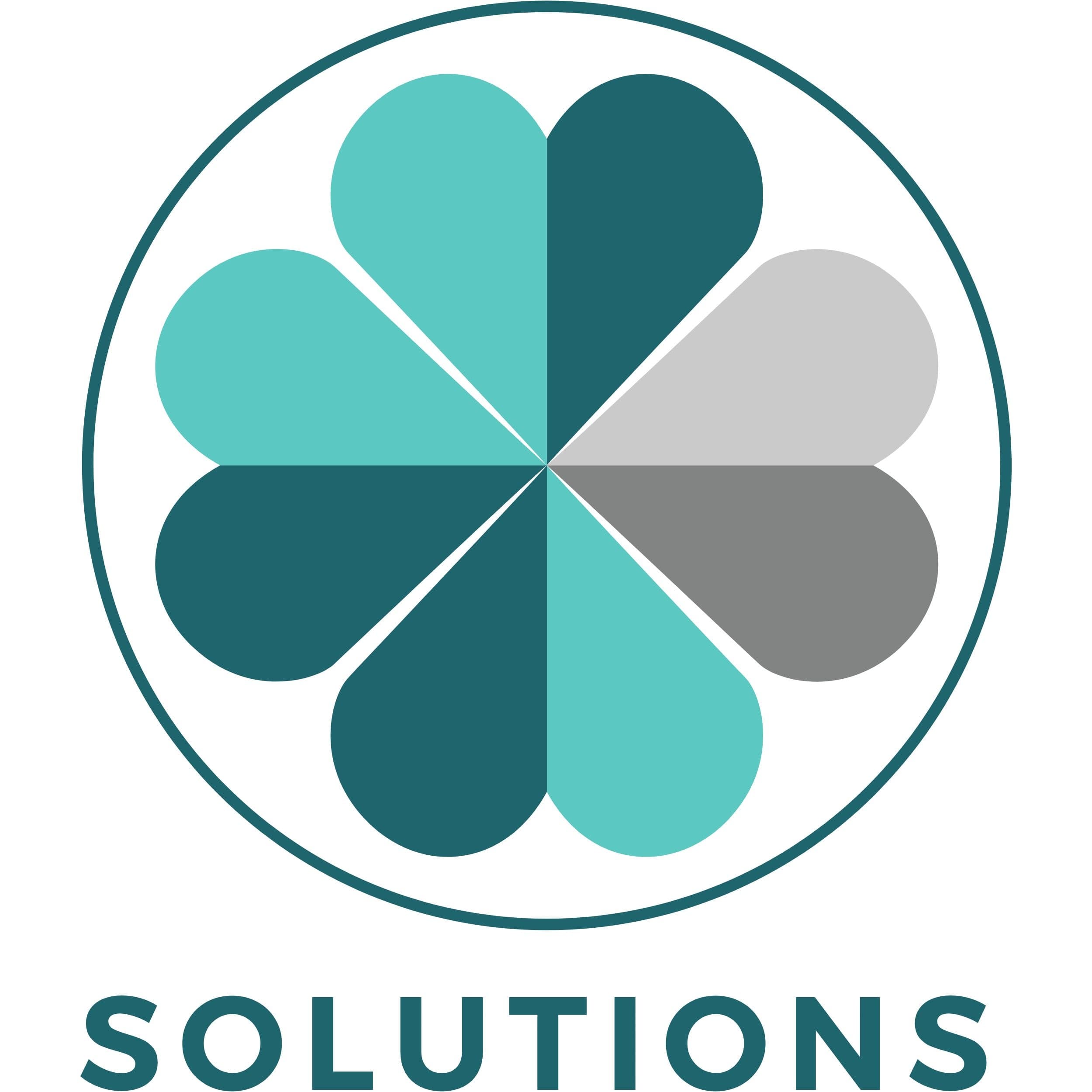 Solutions Institute